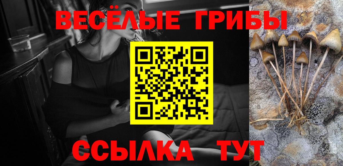 Псилоцибиновые грибы Psilocybe  Галлюциногенные грибы ЛСД  Вход с VPN  Октябрьский 