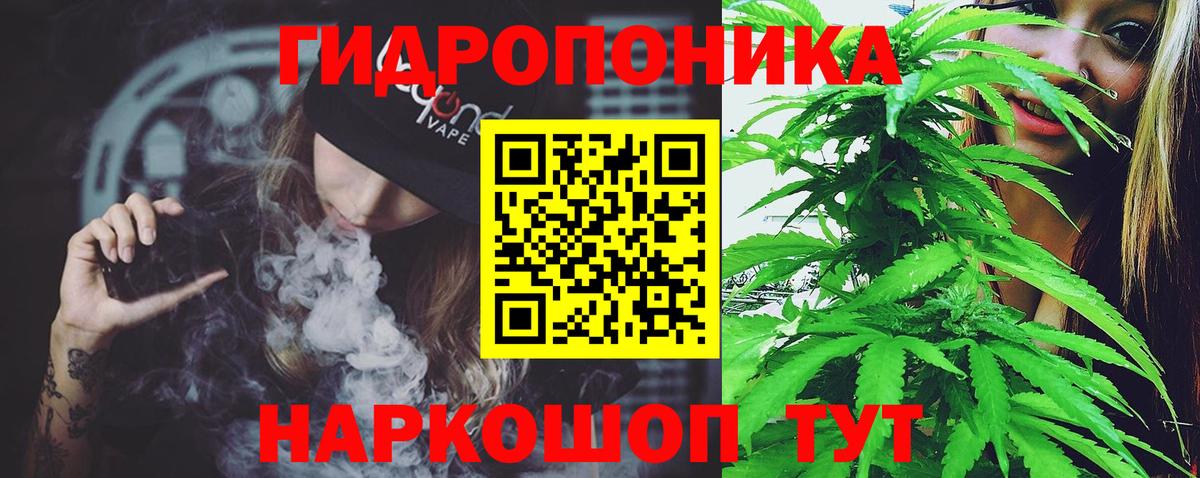 МАРИХУАНА SATIVA & INDICA  Вход с VPN  Марихуана сатива  Октябрьский  Каннабис сатива 